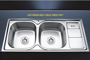 Chậu rửa chén Erowin 10046