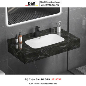 Chậu rửa chén Roland B10050