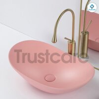 Chậu rửa lavabo cao cấp TS210