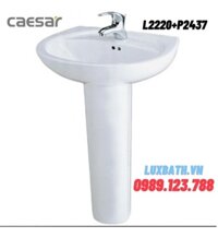 Chậu Rửa Lavabo Chân Dài Caesar L2220+P2437