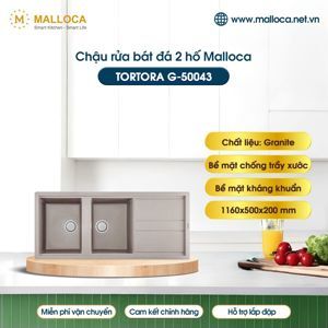 Chậu rửa Malloca TORTORA G - 50043