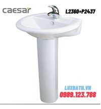 Chậu Rửa Mặt Treo Tường Chân Dài Caesar L2360+P2437