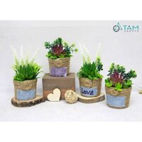 Chậu sen đá giả để bàn chậu dây thừng Handmade F-CHĐB-100 TAN