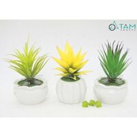 Chậu sen đá giả để bàn số 86 TTTM
