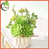 Chậu Sen Đá Giả Trang Trí Bàn Kệ Tủ Giá Sach Cao 15-20cm - Mẫu 9