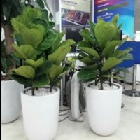 Chậu sứ Bát Tràng trồng cây size đại 45*30cm - HN5