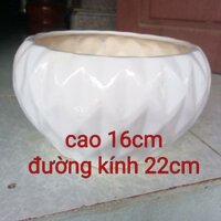 Chậu sứ cắm hoa, chat với shop khi bạn đặt hàng