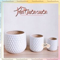 Chậu Sứ Cỡ Lớn Vân Tổ Ong Trồng Cây Cảnh Trong Nhà - chậu cây cảnh - tiệm chuồn chuồn - Sứ Bát Tràng