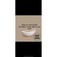 chậu sứ hinh thuyền dài 38cm trồng hoa lan