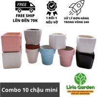 chậu sứ mini cao cấp trồng sen đá ( combo 10 chậu gửi ngẫu nhiên )