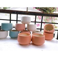 Chậu sứ mini trồng cây cảnh , xương rồng , sen đá hình hạt dẻ nhỏ - Cam