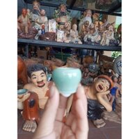 chậu sứ mini.