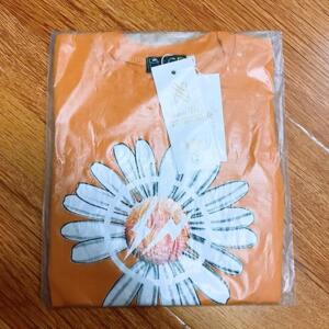 Chậu sứ mỹ thuật Kanly SU113