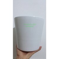 Chậu Sứ Trồng Cây (Cao 17.5cm đường kính 19cm)