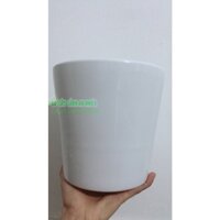 Chậu Sứ Trồng Cây (Cao 17.5cm đường kính 19cm)