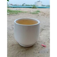 Chậu Sứ Trồng Cây Cao 23cm đường kính 20cm