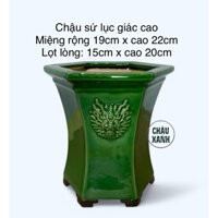 chậu sứ trồng cây hình lục giác cao men bóng cao cấp miệng rộng 19cm x cao 22cm