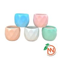 Chậu Sứ Trụ Trám Trồng Cây - Chậu Gốm Sứ Mini Trồng Cây Để Bàn