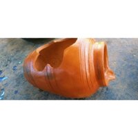 chậu thủy sinh sai 25cm