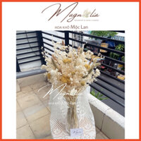 Chậu Thuỷ Tinh Hoa Khô baby, Yarrow, Billy Ball tông trắng vàng xanh natural size lớn ~60cm