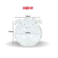 Chậu thủy tinh mini nuôi cá, bể cá mini để bàn