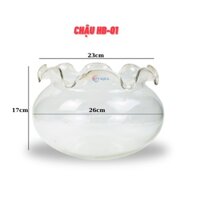 Chậu thủy tinh tai bèo để bàn , chậu thủy tinh mini tai bèo HB01 nuôi cá và trang trí