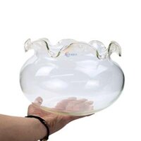 Chậu thủy tinh tai bèo để bàn , chậu thủy tinh mini tai bèo HB01 nuôi cá và trang trí
