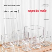 Chậu Thủy Tinh Trồng Cây, Lọ Thủy Tinh Vuông Trồng Cây Trong Suốt, Cắm Hoa Để Bàn, Decor Nội Thất Đa Năng
