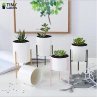 Chậu trồng cây 3 chân - cỡ lớn