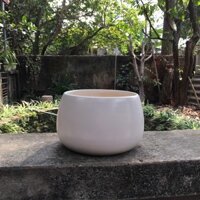 Chậu trồng cây bằng gốm sứ - Chậu Gốm Sứ Đẹp Trồng Cây
