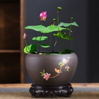 Chậu trồng cây Bonsai, Cây tiểu cảnh mini bằng chất liệu tử sa kèm chân đế kê