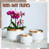 Chậu Trồng Cây Cảnh Trong Phòng Men Trắng Tiêu Mạ Vàng - Chậu gốm sứ | Tiệm Đất Nung