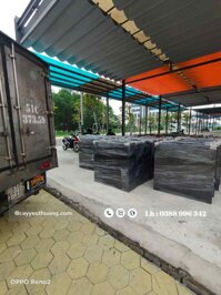 Chậu Trồng Cây Cỡ Lớn - chậu đá mài 100x30x100cm
