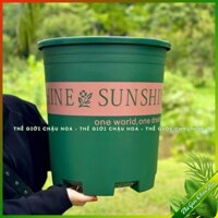 Chậu trồng cây cỡ lớn SUNSHINE 7 Sun kèm đĩa lót, cho hoa hồng, cây cảnh mini, để bàn, treo ban công