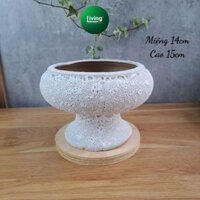Chậu trồng cây men bọt biển Atlantis gốm sứ Bát Tràng dáng ly xinh xắn  | Living Decor