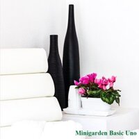 Chậu Trồng Cây Thông Minh Minigarden Basic Uno, tự động tưới, tự cân bằng độ ẩm đảm bảo cây sống tốt