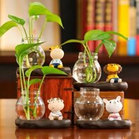 Chậu trồng cây thủy sinh mini, chậu thủy tinh để bàn