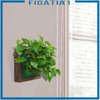 Chậu trồng cây treo tường dọc Hộp đựng hoa Chậu khung gỗ hiện đại cho phòng khách Làm vườn trong nhà Đa năng