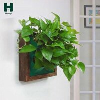 Chậu trồng cây treo tường dọc Hộp đựng hoa Chậu khung gỗ hiện đại cho phòng khách Làm vườn trong nhà Đa năng
