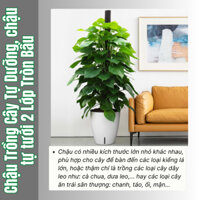 Chậu Trồng Cây Tự Dưỡng 2 Lớp Tròn Bầu 33cm (Vườn Sài Gòn)