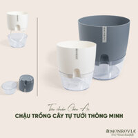 Chậu trồng cây tự tưới thông minh Monrovia, để bàn, trang trí trong nhà, bàn làm việc, sang trọng, Tiêu Chuẩn Châu Âu - Size S - Trắng - White