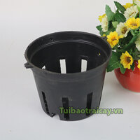 Chậu trồng lan nhựa đen phi 14 - CN5