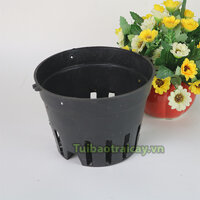 Chậu trồng lan nhựa đen phi 16 - CN10