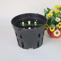 Chậu trồng lan nhựa đen phi 18 - CN6