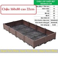 Chậu trồng rau lắp ghép 160x80 cao 22cm, chậu nhựa trồng cây lắp ghép thông minh CG421