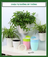 Chậu tự dưỡng áp tường, chậu tự tưới trồng cây 2 lớp