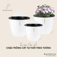 Chậu tự tưới treo tường Monrovia, treo hoa ban công, trong nhà, sang trọng, tiện lợi, tiêu chuẩn châu Âu - Size S - Trắng - White