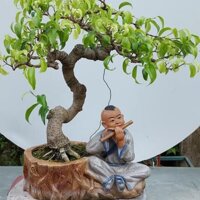 Chậu tượng bonsai Chú bé Thổi sáo