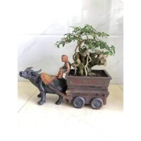 Chậu Tượng Trâu Kéo Xe,Chậu Trồng Cây Bonsai,tiểu cảnh Gốm Bát Tràng loại 1
