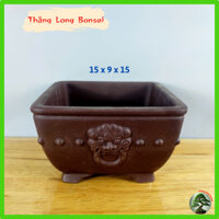 Chậu vuông cho bonsai, cây cảnh màu nâu sẫm